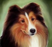 Digital Family Portraits Painted on Canvas